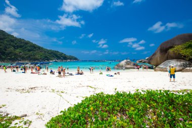 Similan Adası Tayland