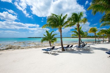  plaj ve tropikal deniz