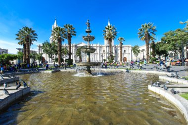 Arequipa ana kare