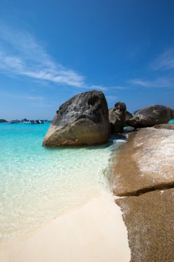 tropikal similan Island beyaz beach