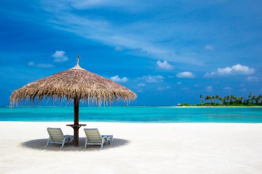 Maldivler 'deki tropik plaj