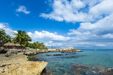 plaj ve tropikal deniz