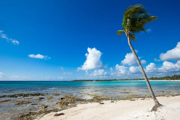 Spiaggia e mare tropicale — Foto Stock