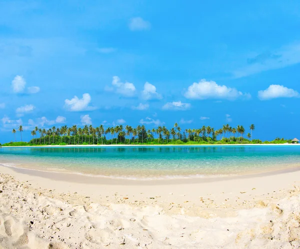 Spiaggia tropicale alle Maldive — Foto Stock