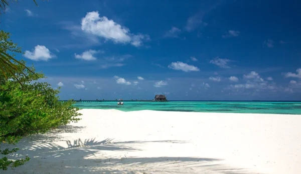 Tropisch strand op de Malediven — Stockfoto