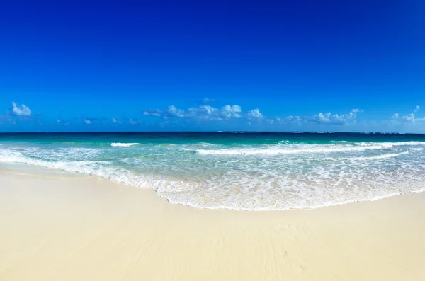 Beautiful blue caribbean sea — Stock Photo, Image