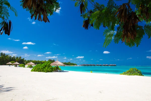 Spiaggia tropicale alle Maldive — Foto Stock