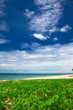 tropik sahil cenneti