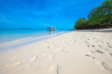 tropik sahil cenneti