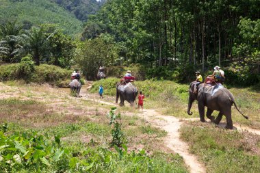 Fil Kao-sok trekking