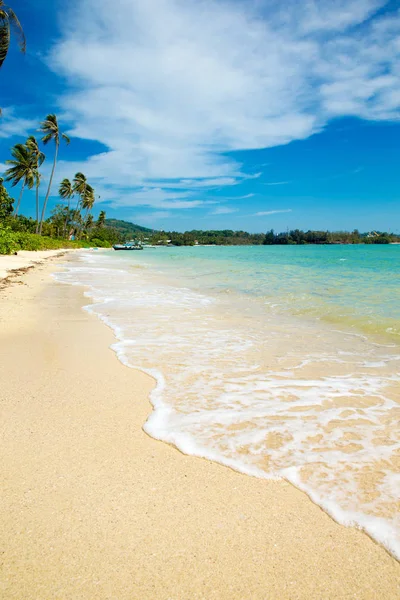 tropik sahil cenneti