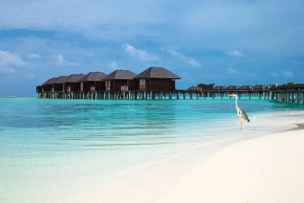 Playa con bungalows de agua en Maldivas — Foto de Stock