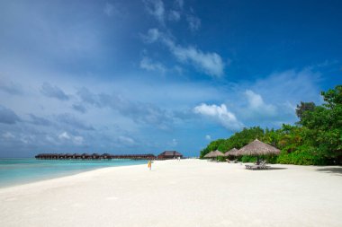 Maldivler de tropikal plaj 