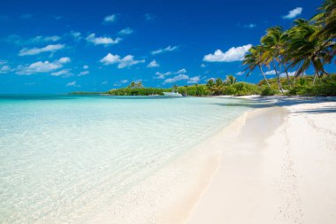 tropik sahil cenneti