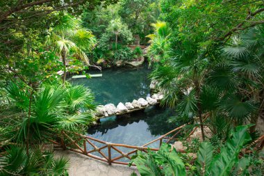 Çimenli bahçe taşı yolu