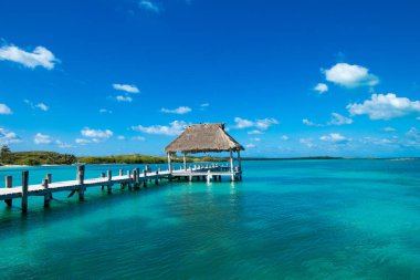 tropik sahil cenneti