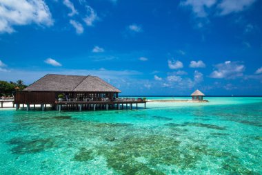 tropik sahil cenneti