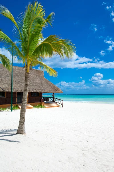 Tropisk strand paradis — Stockfoto