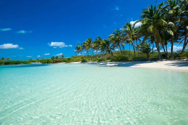 Тропический рай на пляже — стоковое фото