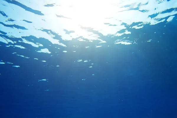 Tranquille scène sous-marine — Photo