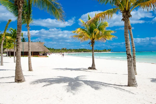 Paradiso tropicale sulla spiaggia — Foto Stock