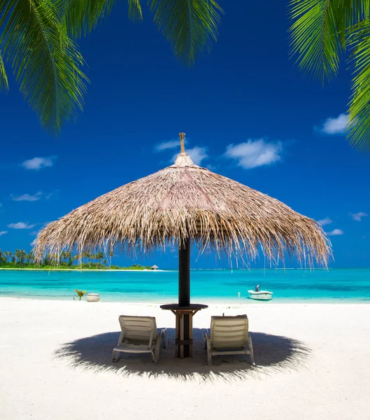 Tropical beach in Maldives Stock Image