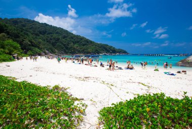 plaj temiz su, güzel deniz insanlara 