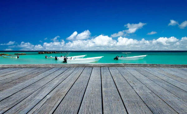 Beautiful beach and tropical sea — Stock Photo, Image