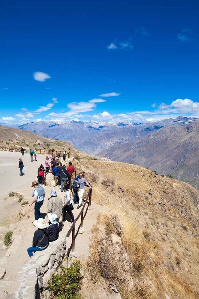 Turistas assistindo condores no Canyon Colca — Fotografia de Stock