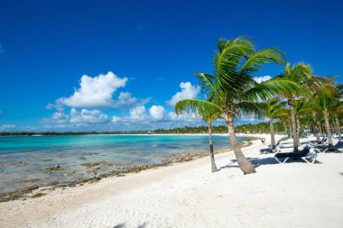 Güzel sahil ve tropikal deniz