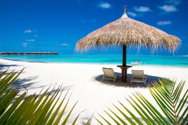 Maldivler de güzel plajı