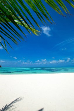 Maldivler de güzel plajı