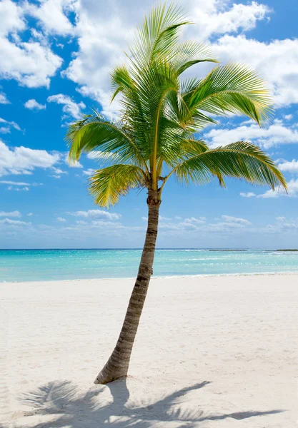 Hermosa playa y mar tropical — Foto de Stock