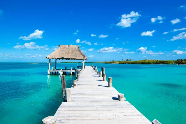 Bella spiaggia e mare tropicale — Foto Stock