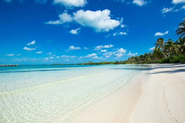 Hermosa playa y mar tropical —  Fotos de Stock