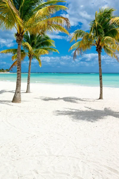 Beautiful beach and tropical sea — Stock Photo, Image