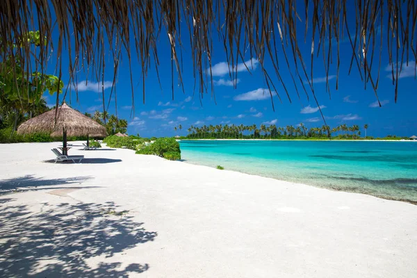 Vacker strand på Maldiverna — Stockfoto