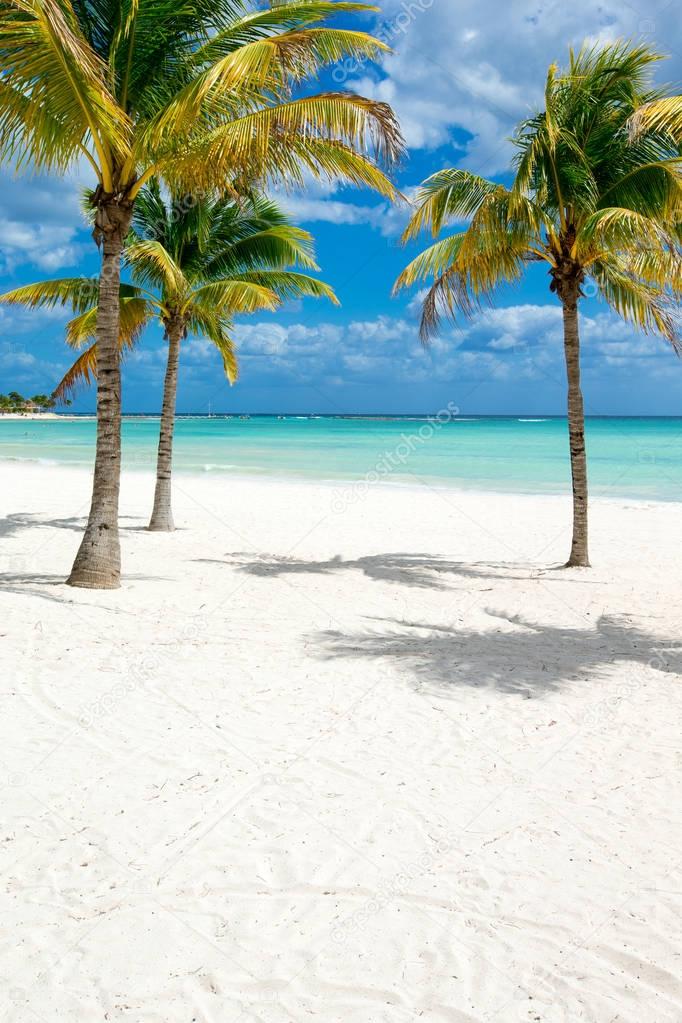 beautiful beach and tropical sea