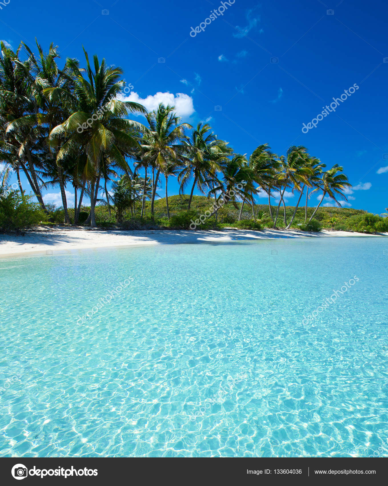 熱帯の海の眺め ストック写真 C Pakhnyushchyy 熱帯の海の眺め ストック写真 C Pakhnyushchyy
