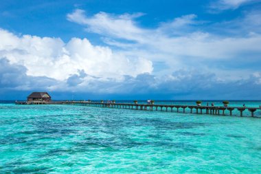 Maldivler 'deki tropik plaj