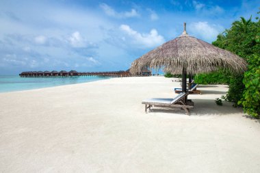 Maldivler 'deki tropik plaj