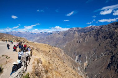 Condor Colca içinde izlerken turist 