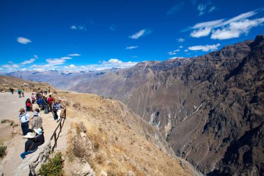 Condor Colca içinde izlerken turist 