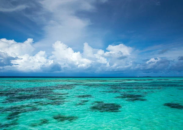 Plage tropicale aux Maldives — Photo