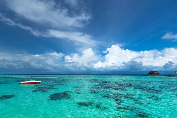 Maldivler 'deki tropik plaj