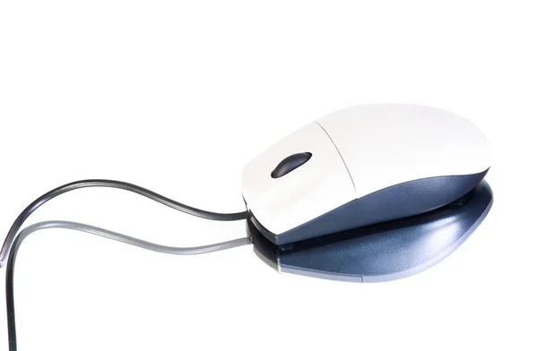 Компьютерная мышь на белом — стоковое фото
