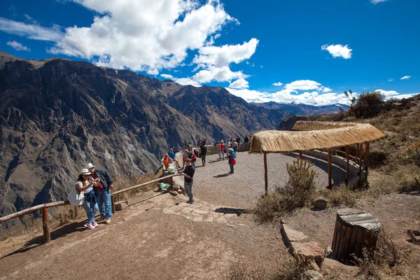 Condor Colca içinde izlerken turist 