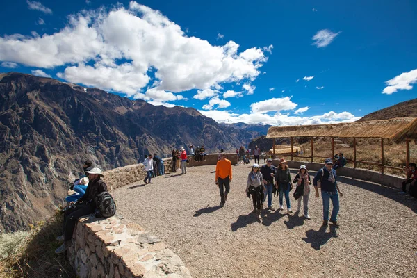 Turistas observando cóndores en el Colca — Foto de Stock