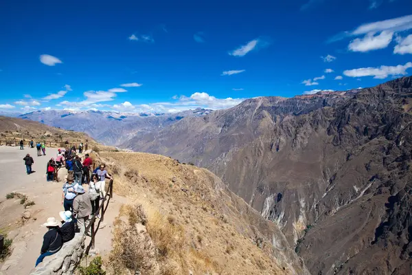 Condor Colca içinde izlerken turist — Stok fotoğraf