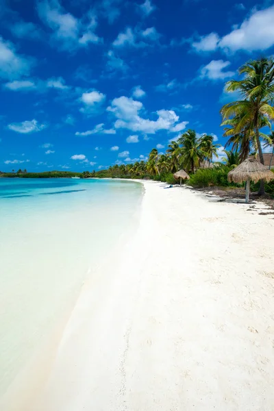 Vista para o mar tropical — Fotografia de Stock